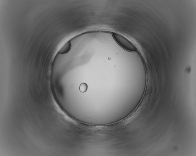 X0000093131390200709261026