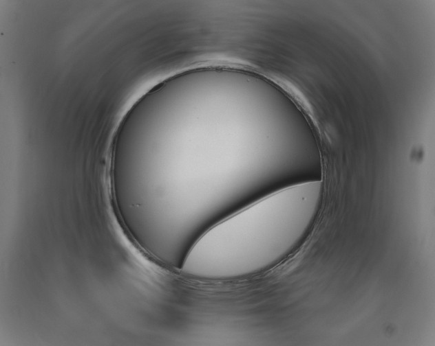 X0000093131391200709261026