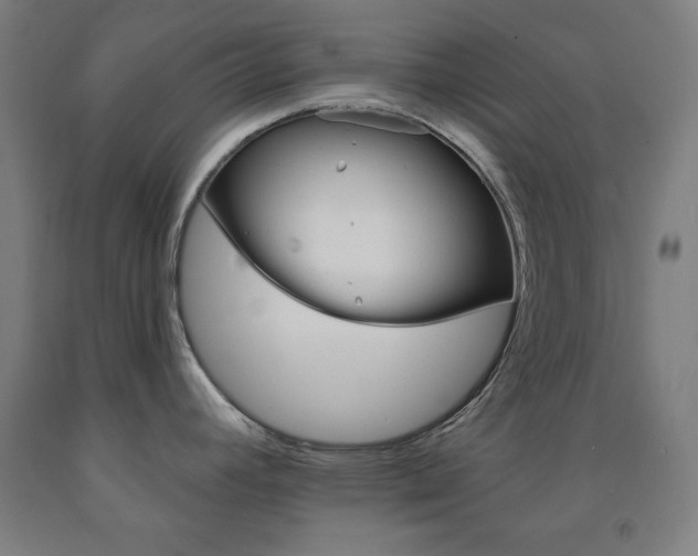 X0000093131392200709261026