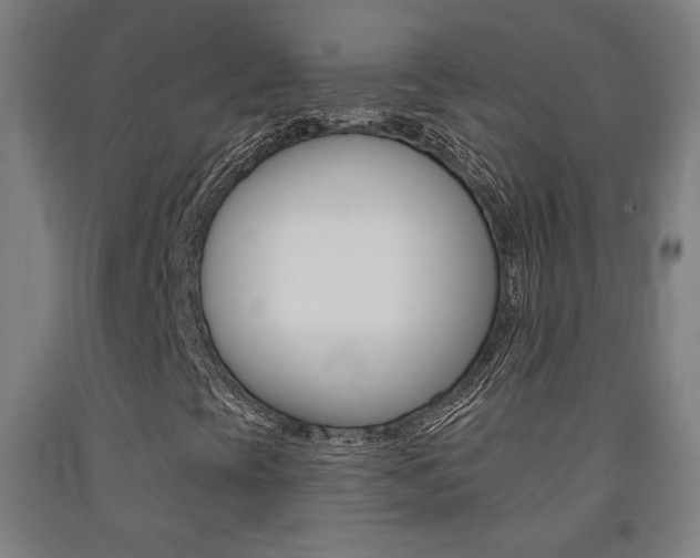 X0000093131393200709261025