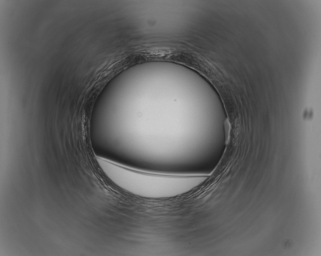 X0000093131394200709261025