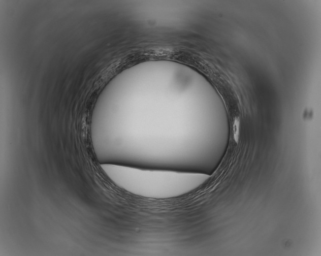 X0000093131395200709261025