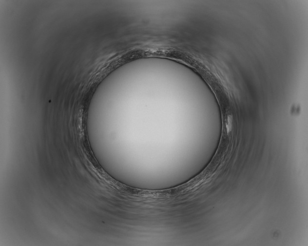 X0000093131396200709261025