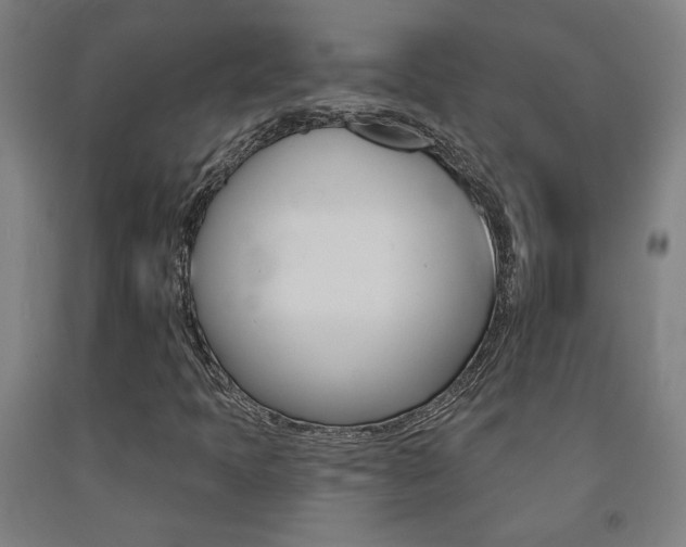 X0000093131397200709261025