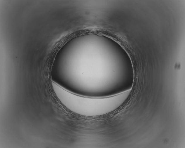 X0000093131398200709261025