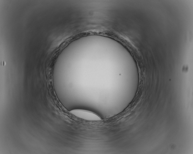 X0000093131399200709261025