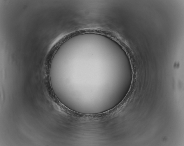 X0000093131400200709261025