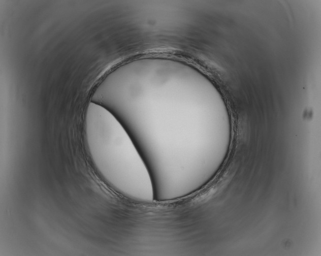 X0000093131401200709261025