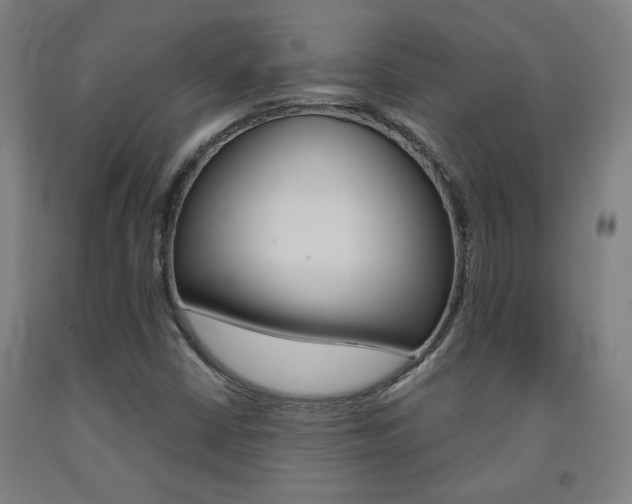 X0000093131402200709261025