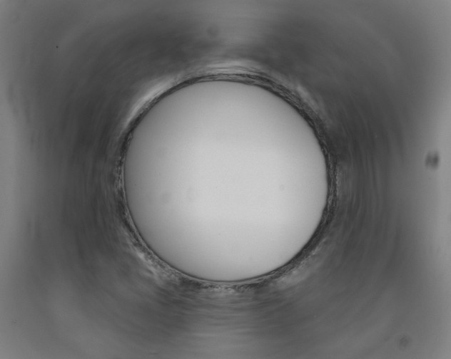 X0000093131405200709261025