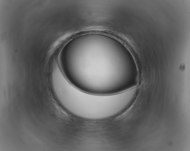 X0000093131406200709261025