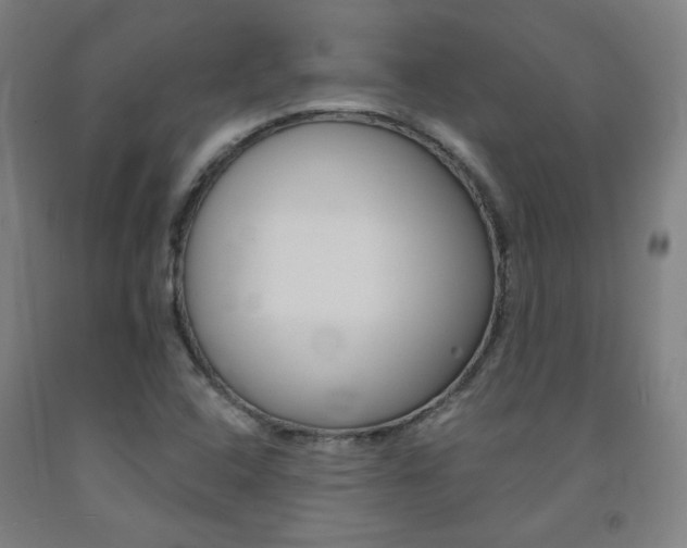 X0000093131408200709261025