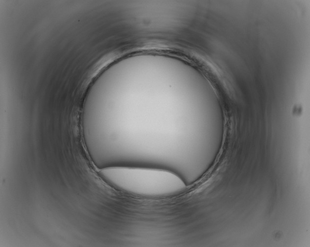 X0000093131409200709261025