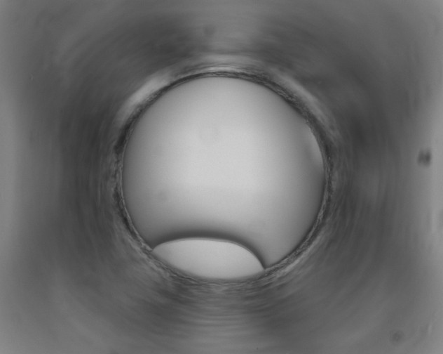 X0000093131411200709261025