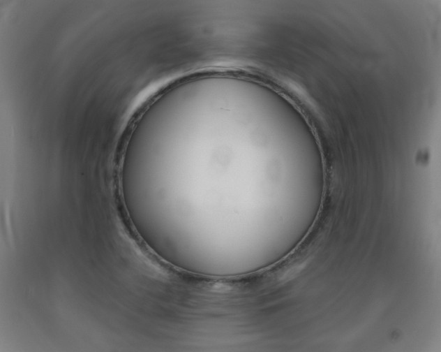 X0000093131412200709261025