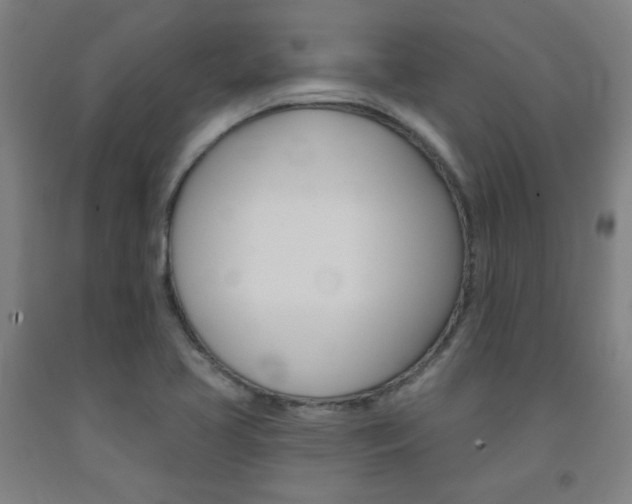 X0000093131413200709261026