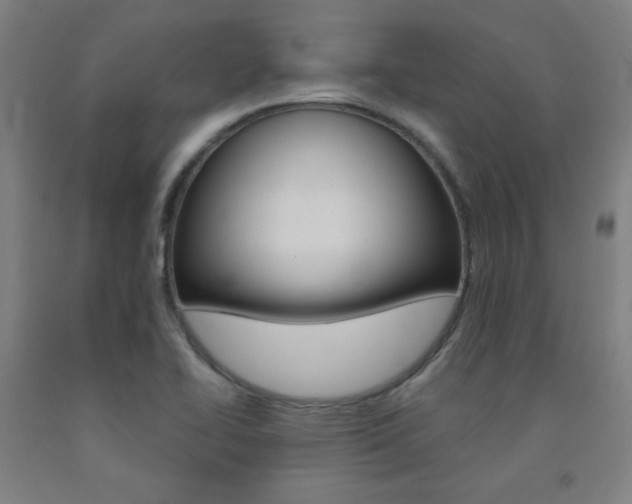 X0000093131414200709261026