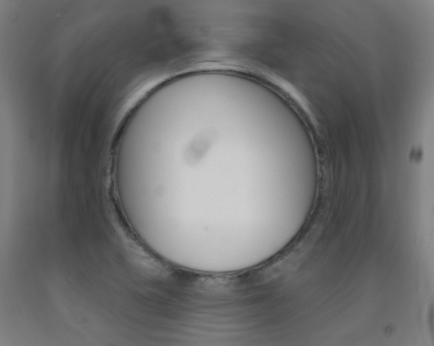 X0000093131415200709261026
