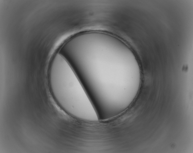 X0000093131416200709261026