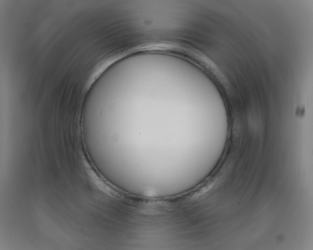 X0000093131417200709261026