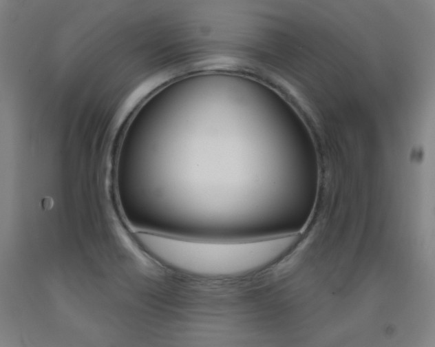 X0000093131418200709261026