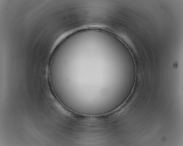 X0000093131420200709261026