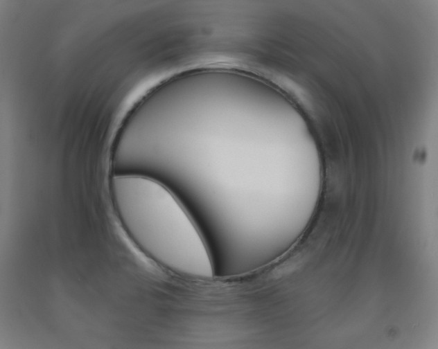 X0000093131424200709261026