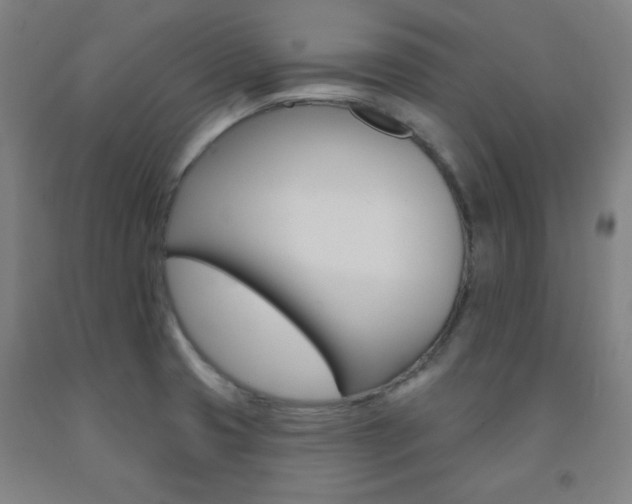 X0000093131425200709261026