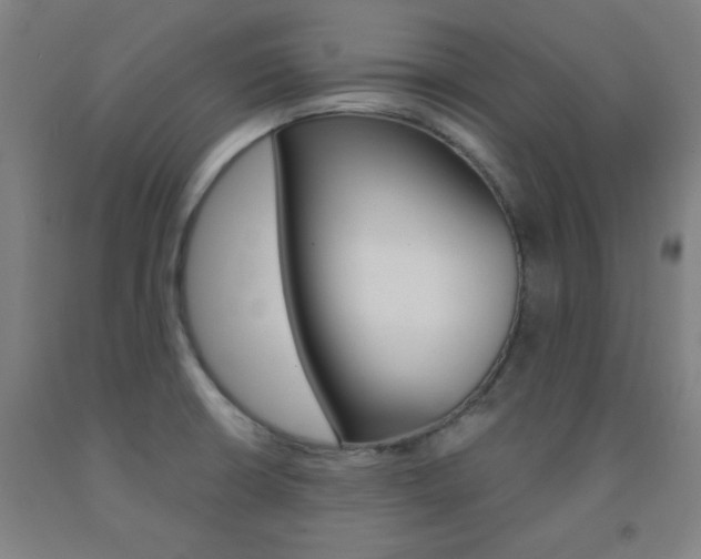 X0000093131426200709261026