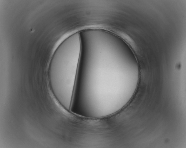 X0000093131428200709261026