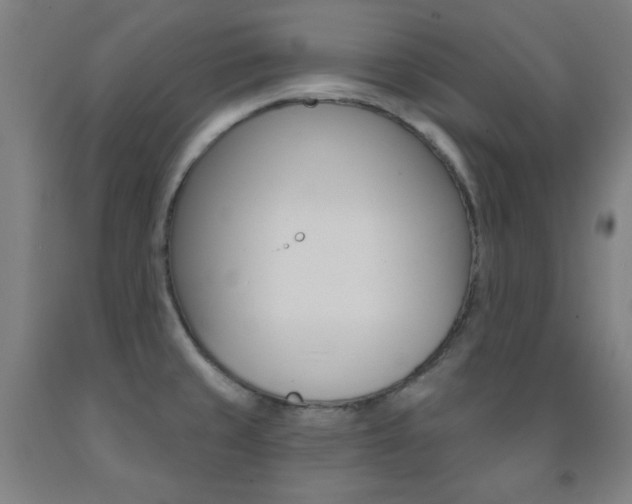 X0000093131429200709261026