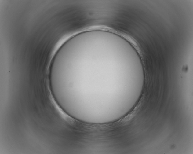 X0000093131430200709261026