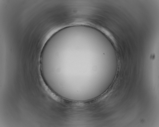 X0000093131431200709261026