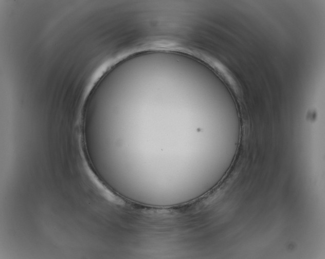 X0000093131432200709261026