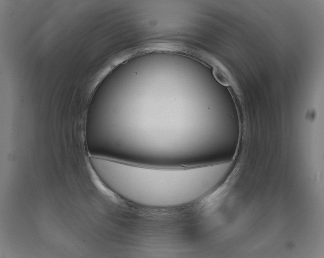 X0000093131433200709261026
