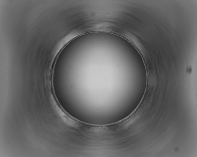 X0000093131434200709261026