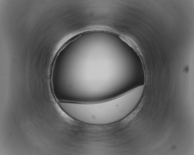 X0000093131438200709261026