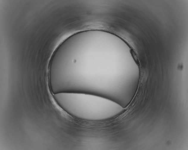 X0000093131439200709261026