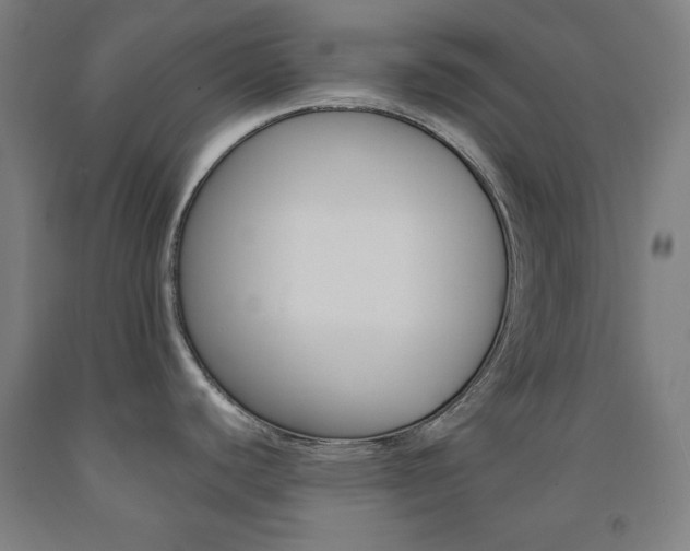 X0000093131440200709261026