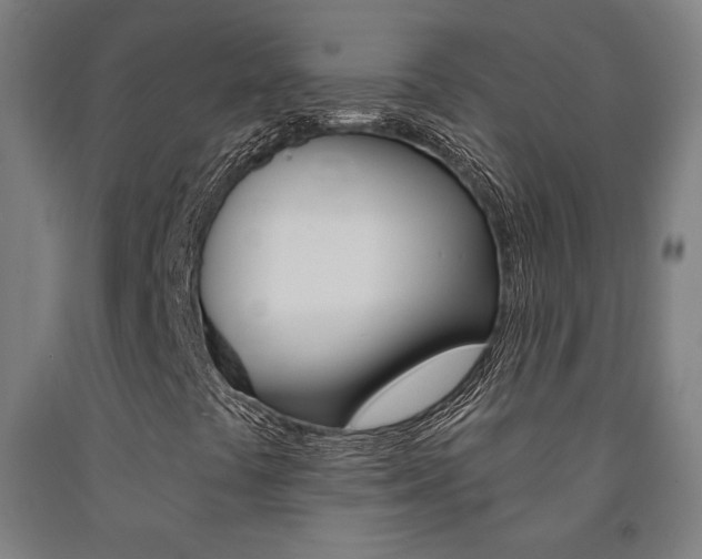 X0000093131441200709261025
