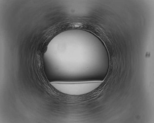 X0000093131442200709261025
