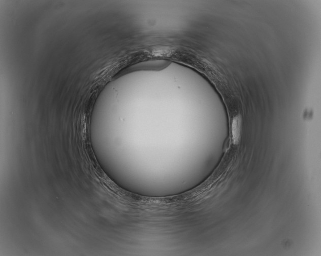 X0000093131443200709261025