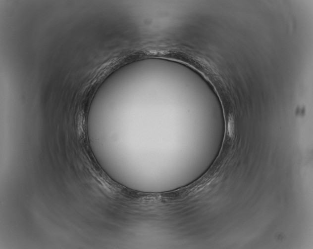 X0000093131444200709261025