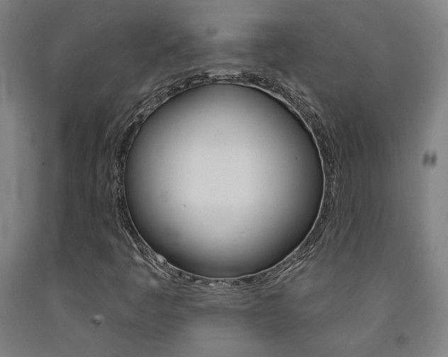 X0000093131445200709261025
