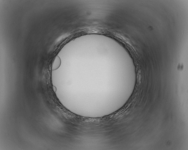 X0000093131446200709261025