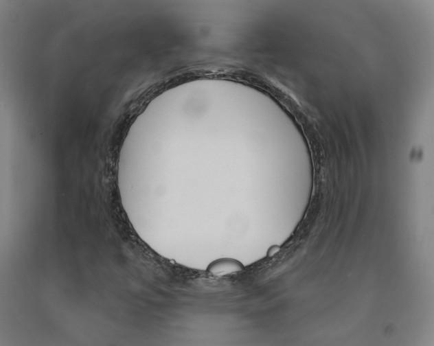 X0000093131447200709261025