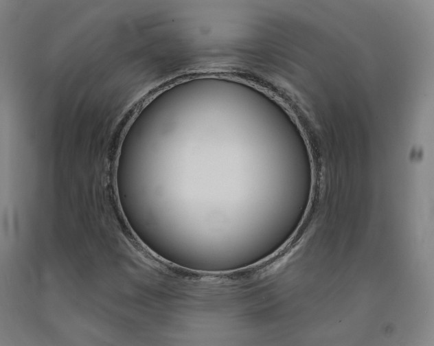 X0000093131449200709261025