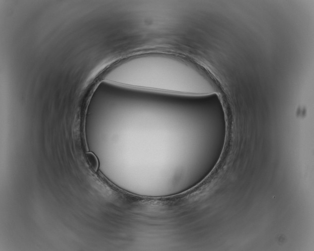 X0000093131450200709261025