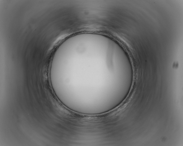 X0000093131451200709261025