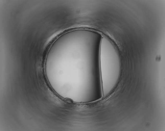 X0000093131452200709261025